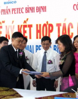 Petech Bình Định Thi Công Năm 2011
